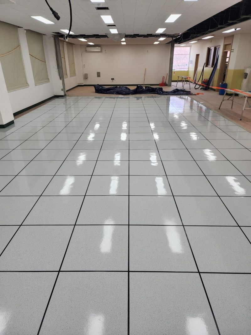 반려견 미끄럼방지 코팅 작업 후 현장 사진