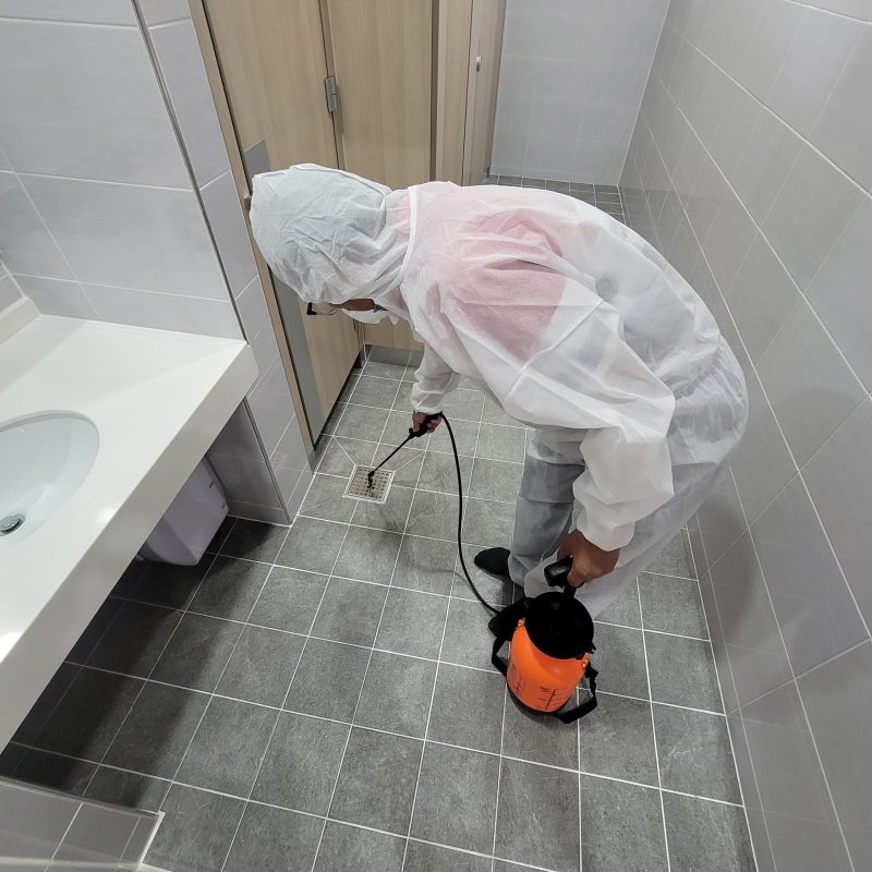 광복 학교청소 작업 중 현장 사진