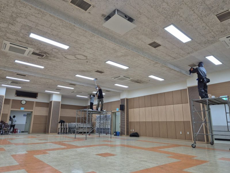 북구 곰팡이제거 작업 중 현장 사진