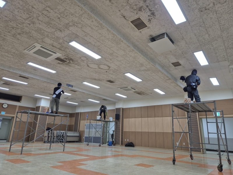 사하구 곰팡이제거 작업 중 현장 사진