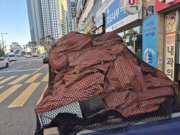 폐기물 처리 작업 중 현장 사진